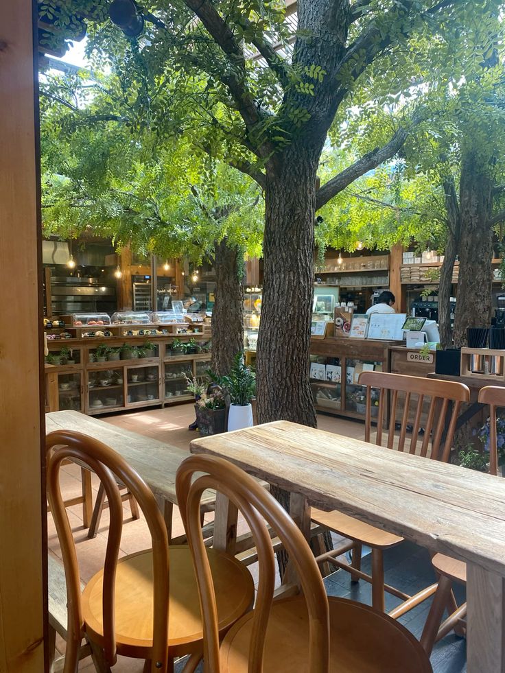 Outdoor cafe seating area with wooden furniture under large green trees and warm string lights