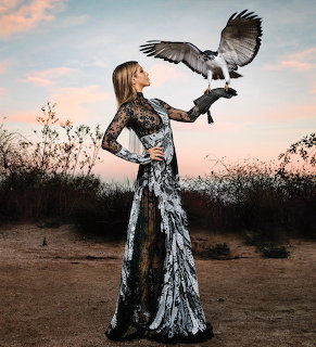 Woman with Falcon at Sunset