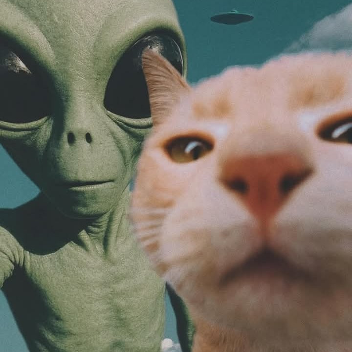 Close-up of a cat with a green alien behind it