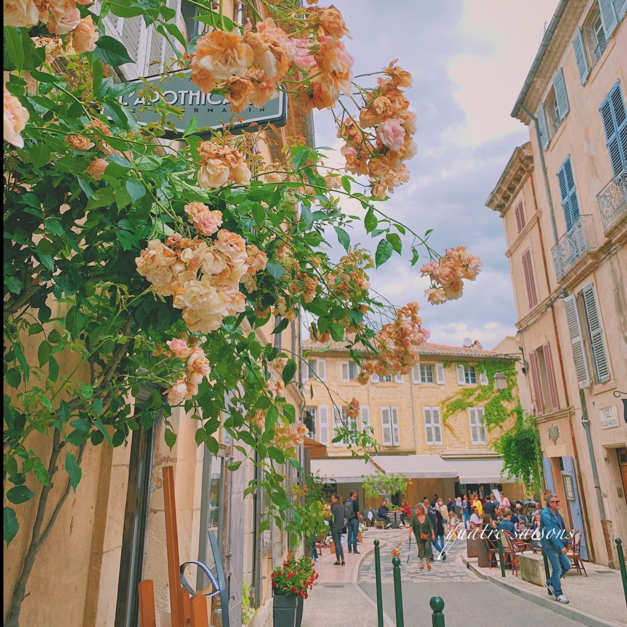 Sunny street in Lourmarin with flowering trees and traditional French architecture