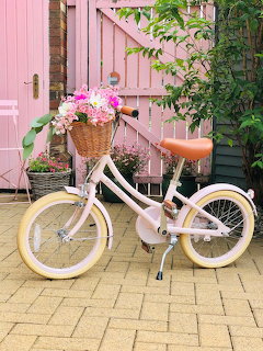 White vintage bicycle with wicker basket of pink flowers in front of a pink wooden gate