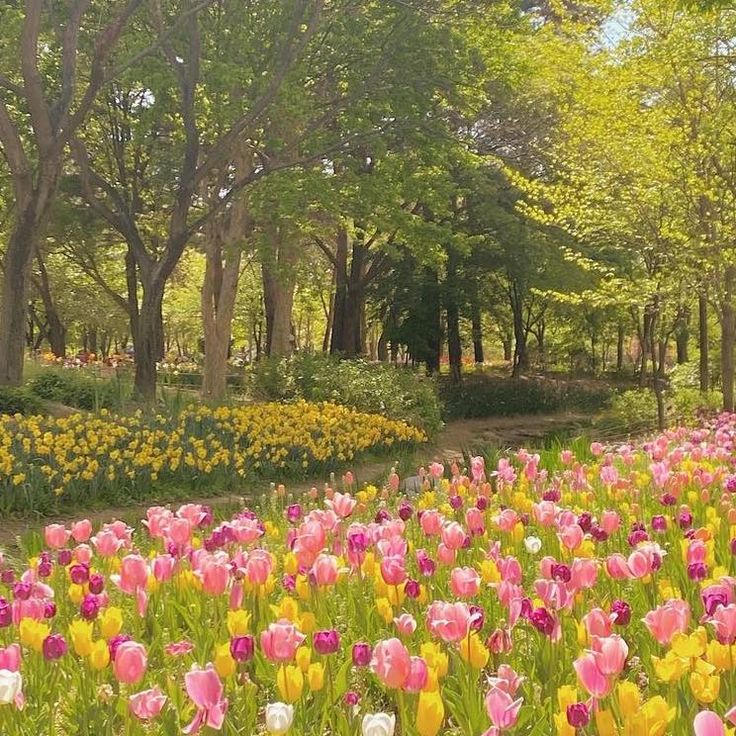 Spring Tulip Garden