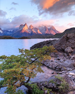 Rocky lakeshore with a small tree, blue lake, and glowing mountain peaks at sunset