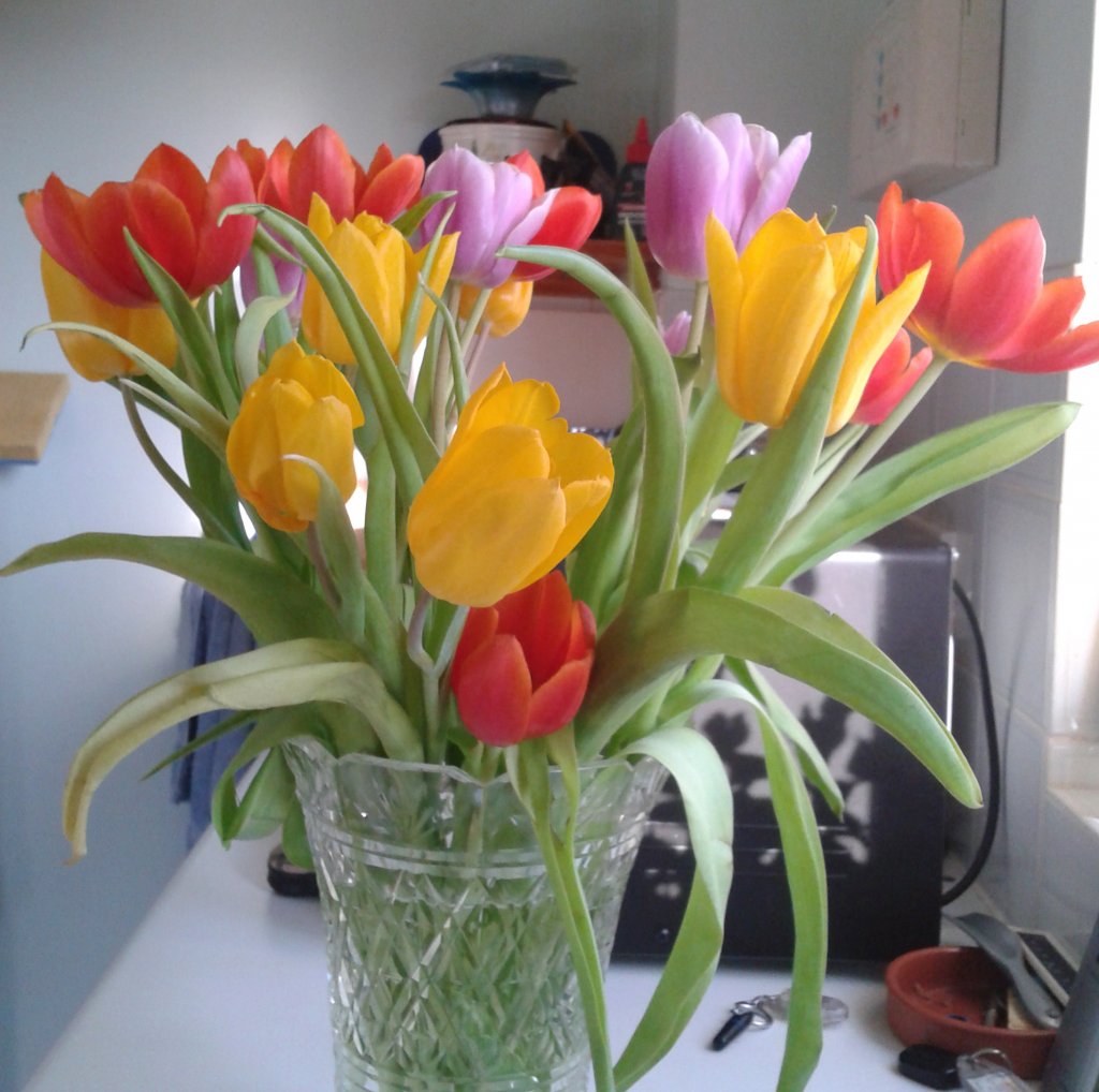 Colorful tulip bouquet with red, yellow, and pink flowers in a glass vase on a counter