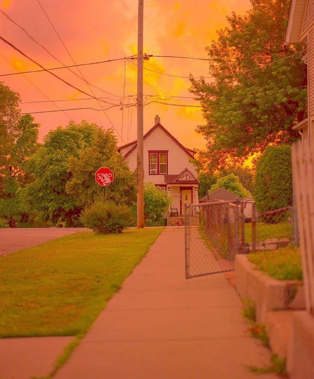 Suburban Street Golden Sunset