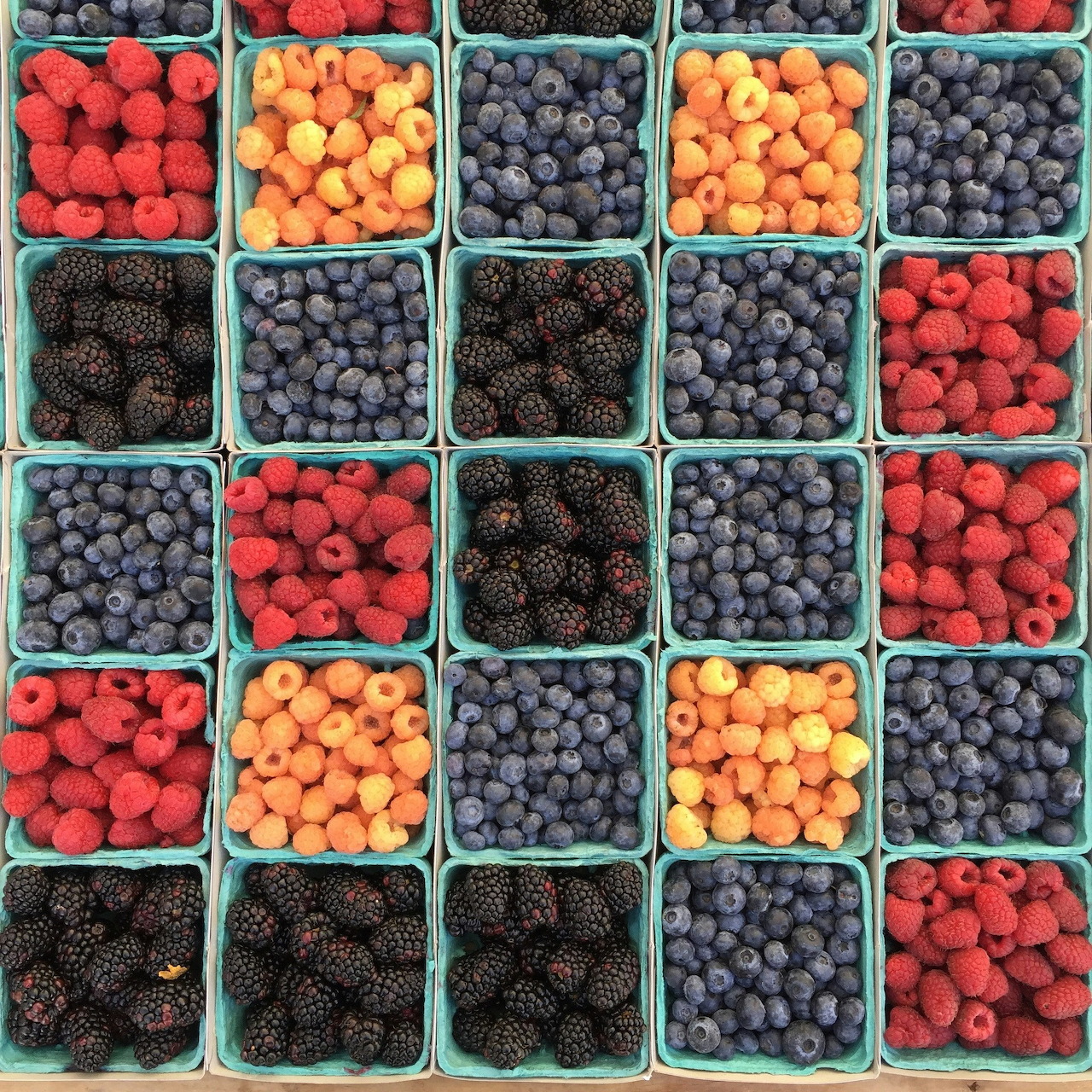 Grid of fresh berries in square containers - strawberries, blueberries, blackberries and raspberries