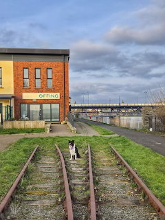 Dog on Railway Tracks
