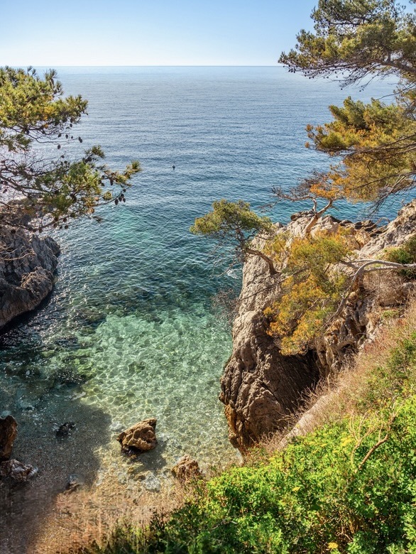 Rocky coastal cove with clear turquoise water, pine trees on cliffs, and calm Mediterranean sea