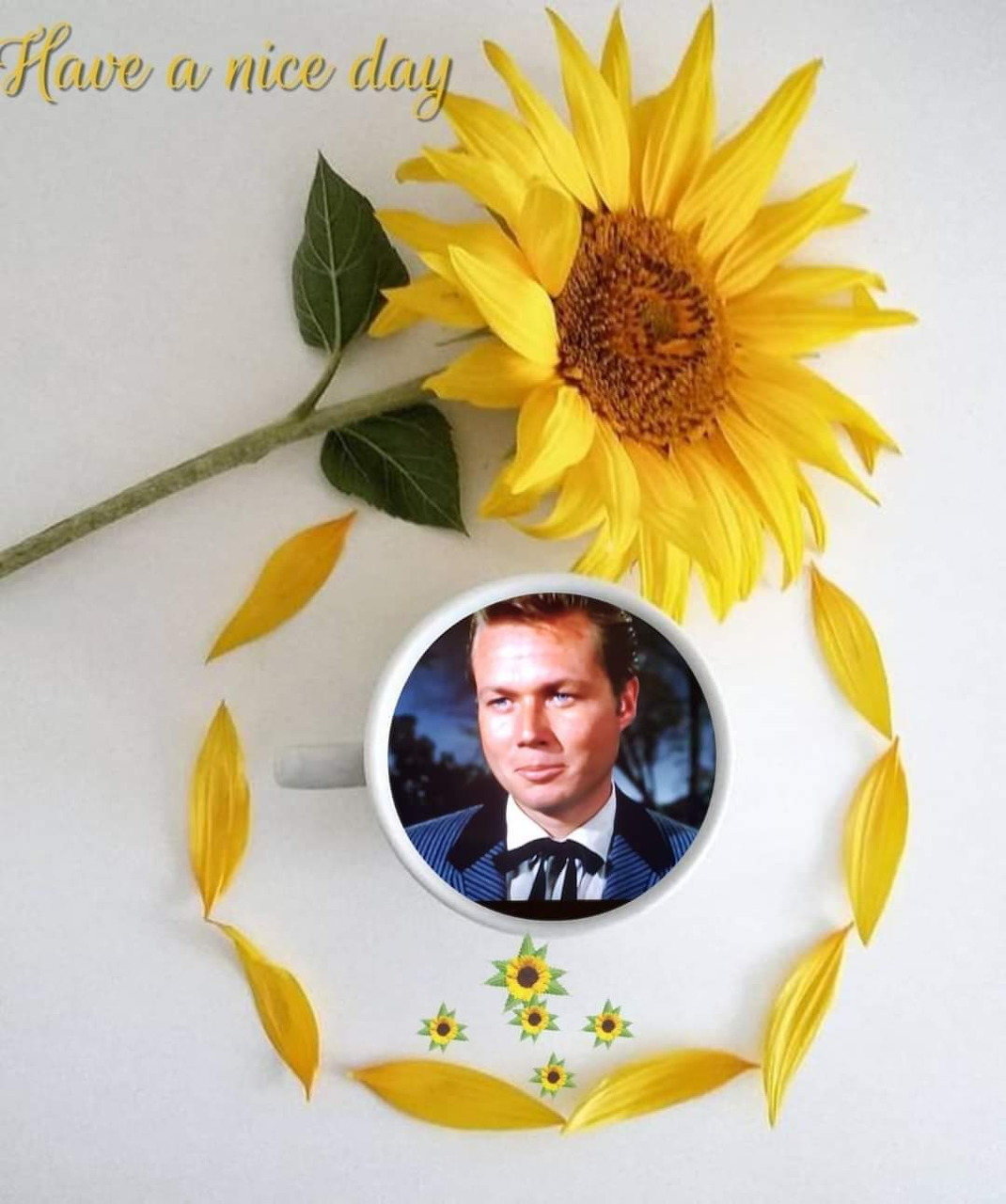 Sunflower Coffee Cup Portrait