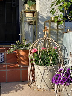 Decorative Bird Cage Planter