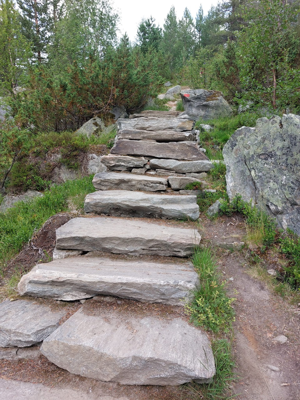 Stone Steps in Nature