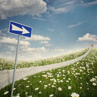 Road Through Daisy Field