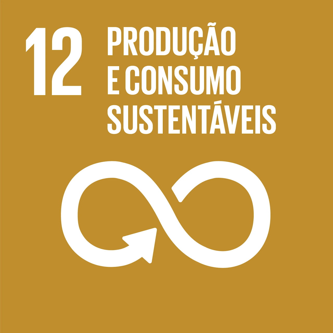 UN Sustainable Development Goal 12 icon with infinity symbol and Portuguese text on yellow background