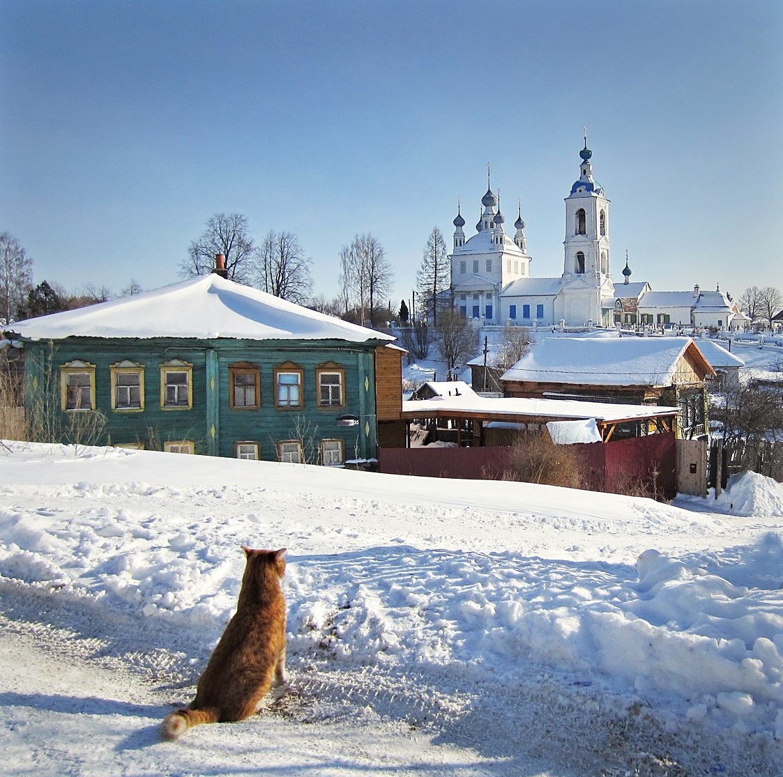 Orange cat in snow facing white church with golden domes in winter village