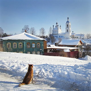 Cat Gazing at Snowy Church