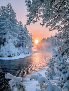Snowy forest stream at sunrise with pink sky and snow-laden evergreens