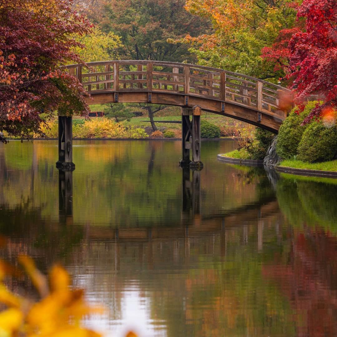 Wooden arched bridge over pond with autumn trees reflecting in still water
