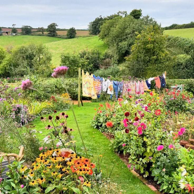 Vibrant country garden with colorful flowers, clothesline, and green hills in background