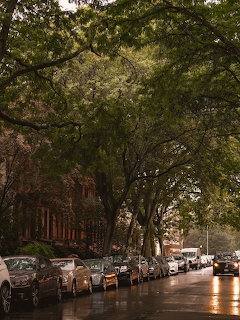 Tree-lined urban street with parked cars, wet road, and brownstone buildings under a canopy of green leaves