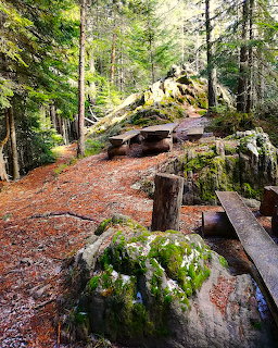 Wooden picnic benches in a mosy forest clearing with large rocks and tall evergreen trees