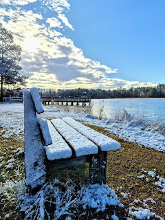 Snow-covered wooden bench on a lakeside with a pier and trees under a blue winter sky