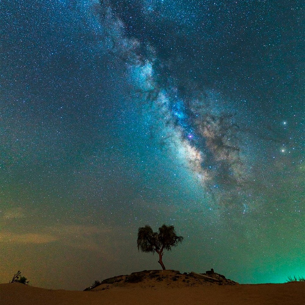 Silhouette of a tree under the Milky Way galaxy in a starry night sky over desert terrain