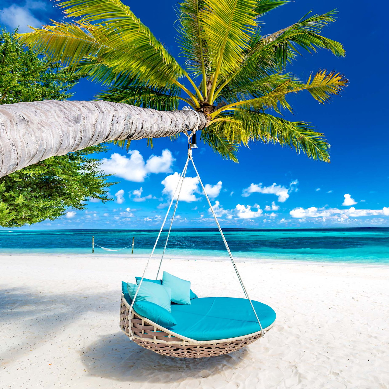 Turquoise cushioned swing hanging from palm tree on tropical white sand beach with clear blue water