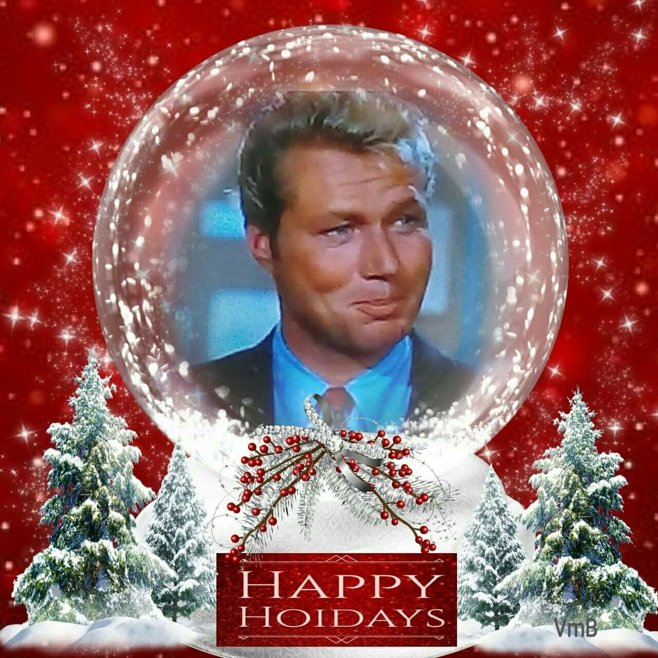 Holiday Snow Globe