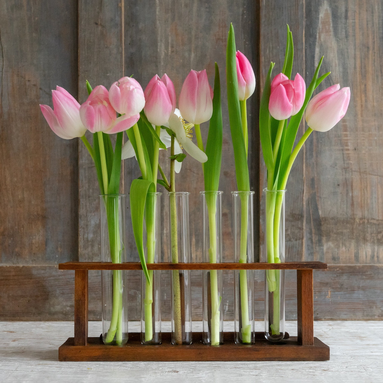 Pink tulips in test tubes on wooden rack against weathered wood background