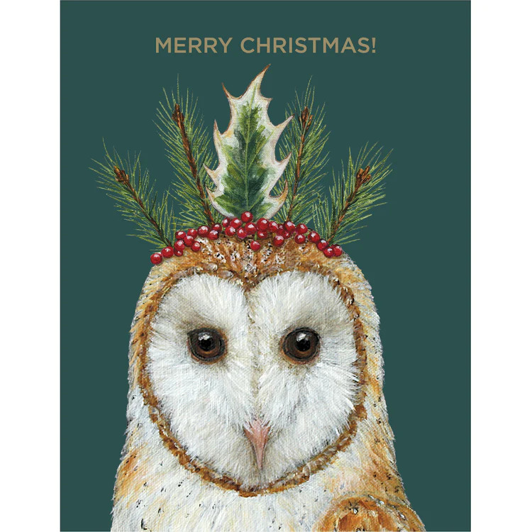 Barn owl portrait wearing Christmas wreath with pine branches, holly, and star on teal background