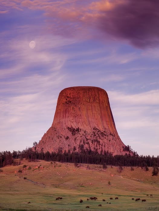 Devils Tower Monolith