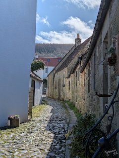 Falkland Coblestone Street