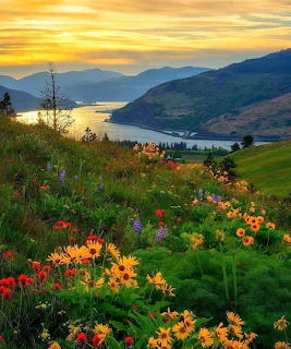 Columbia River Gorge Oregon