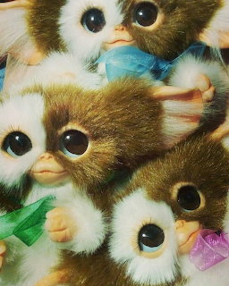 Close-up of several Gizmo plush toys from Gremlins with big eyes and colorful bows