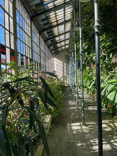 Interior of a greenhouse with tropical plants along a walkway under a glass roof with metal columns