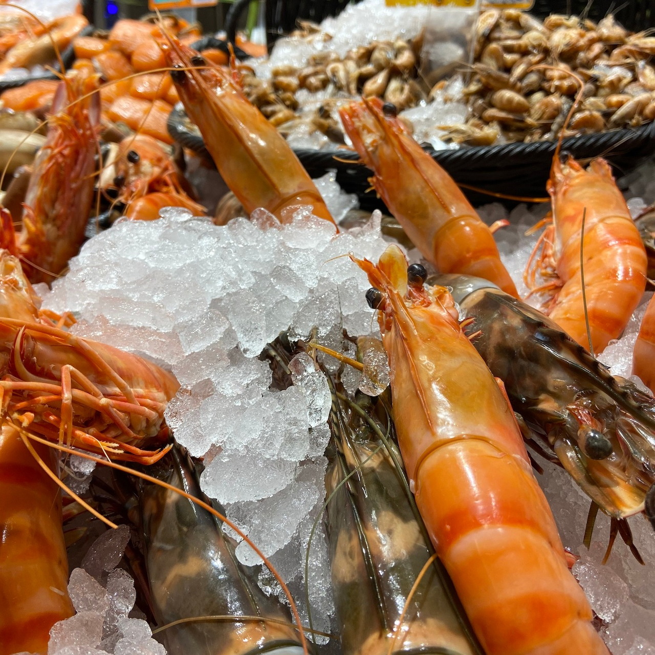 Fresh Prawns on Ice