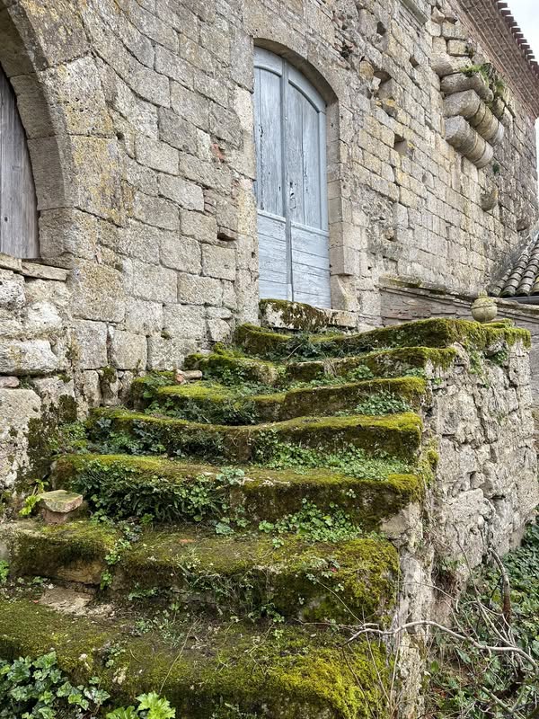 Moss-covered stone steps leading to a blue wooden door in an aged stone wall