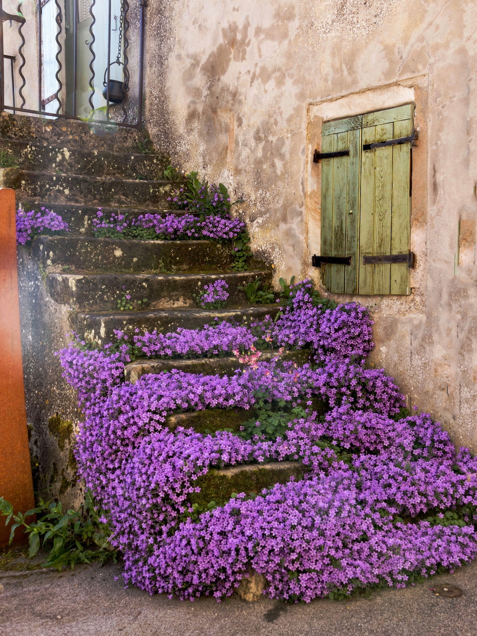 Stone stairs covered in purple flowers beside weathered pink wall with green shutters