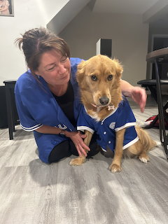 Woman kneeling beside a golden retriever wearing a blue jersey indoors