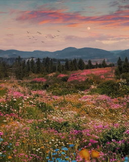 Wildflower meadow with mountains, pink sunset sky, moon, and birds