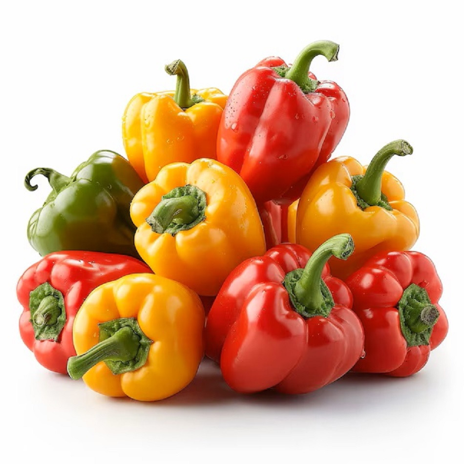 Pile of colorful bell peppers in yellow, orange, red and green with green stems