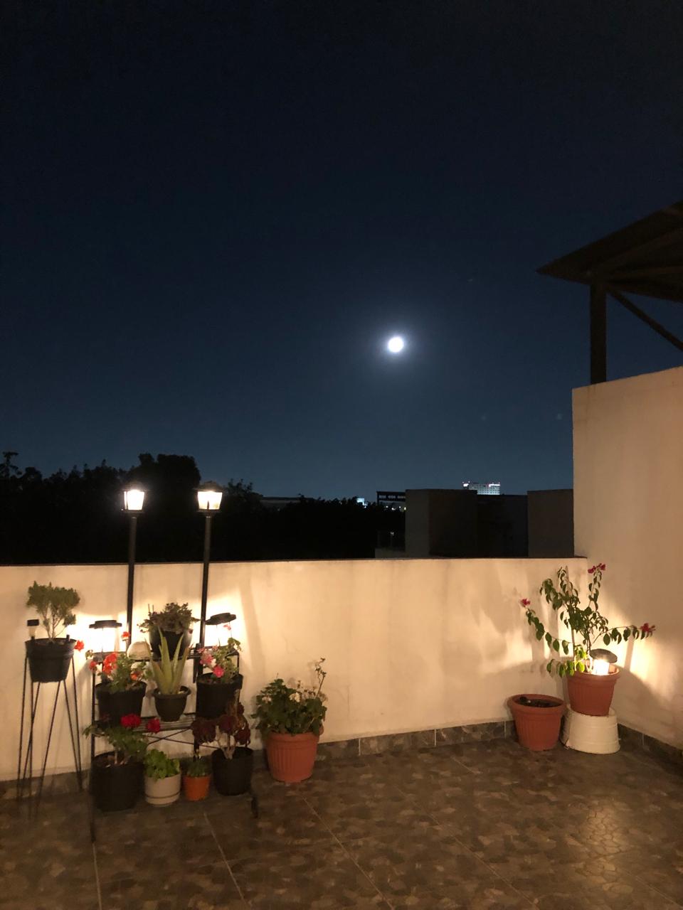 Moonlit Balcony Terrace