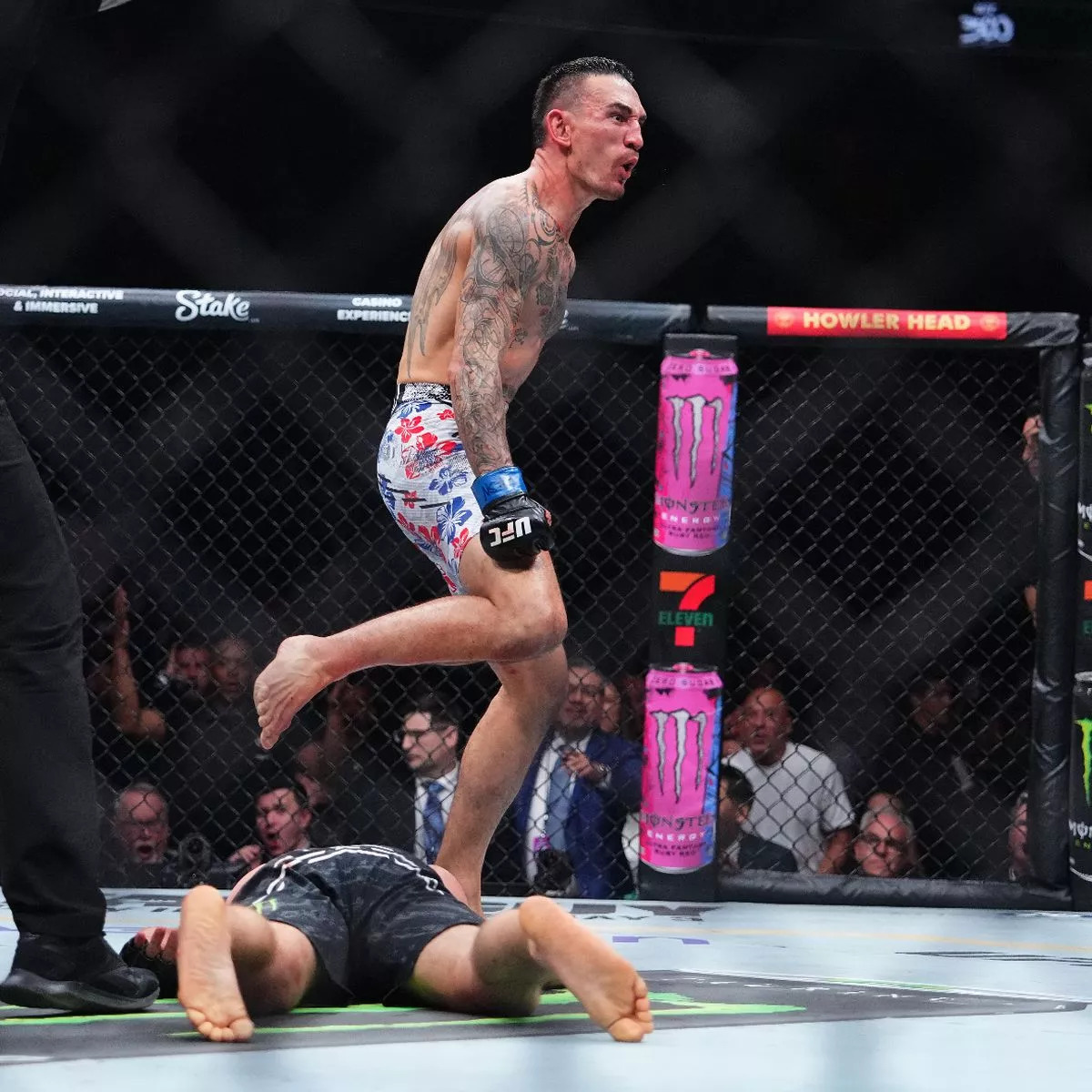 MMA fighter standing over a fallen opponent inside a caged ring