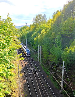 Blue passenger train on tracks surrounded by dense green forest with overhead electrical lines