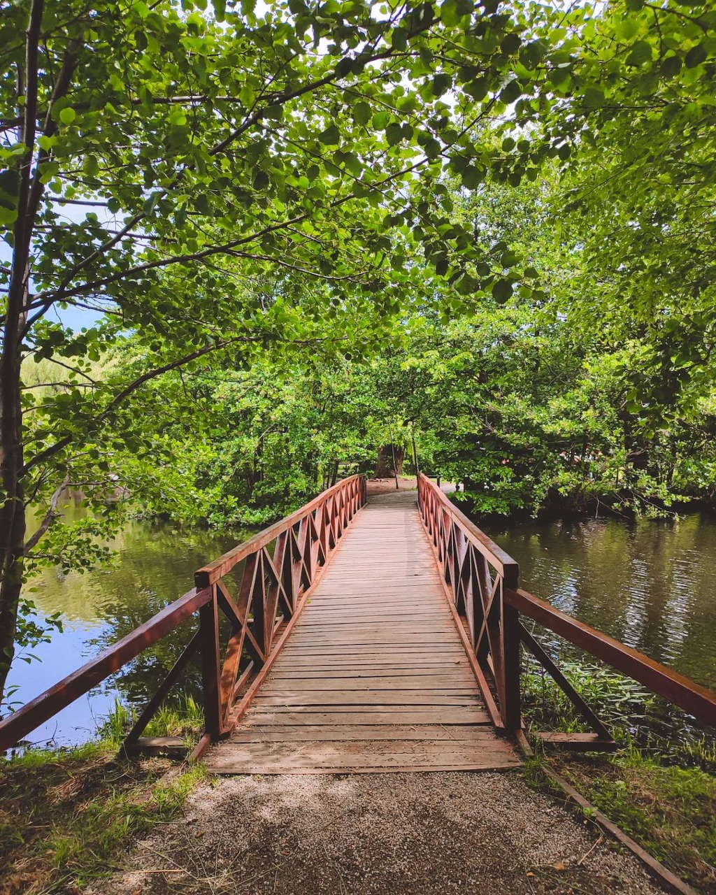 Wooden footbridge with red railings crossing a calm lake surrounded by green trees