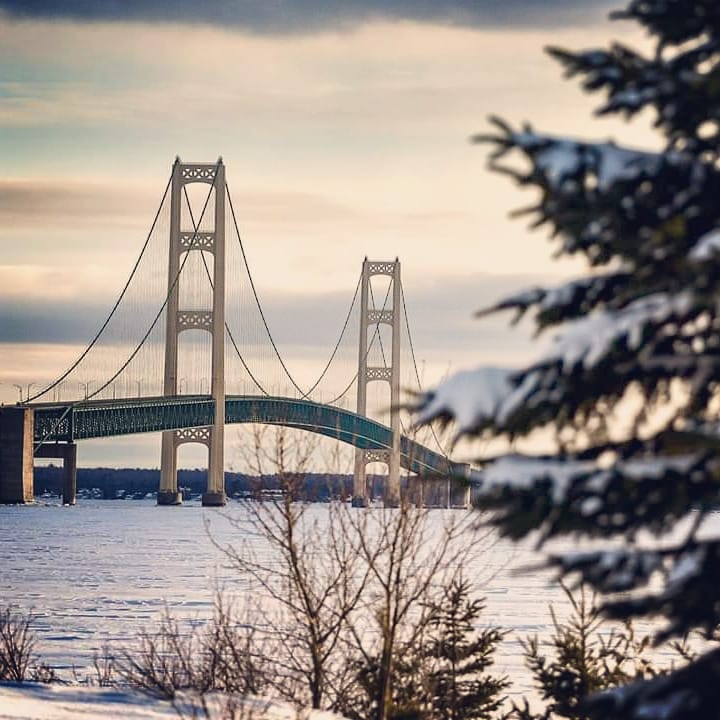 Mackinac Bridge in winter with snow-laden pine trees in foreground and overcast sky
