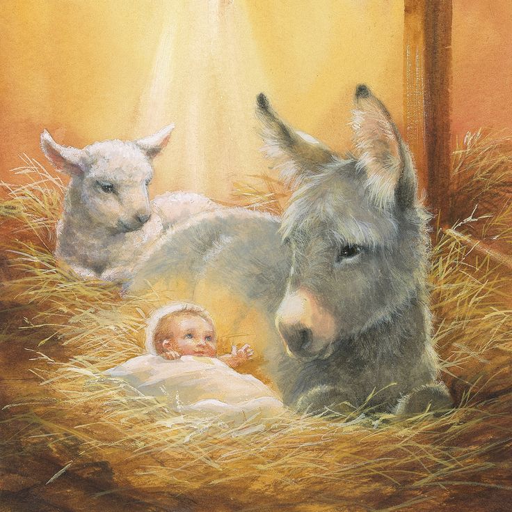Baby with Donkey Lamb