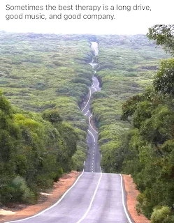 Winding Road Through Green Hills
