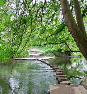 Wooden stepping stones crossing a river through green woodland with overhanging tree branches