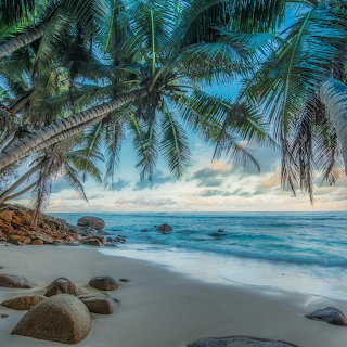 Palm trees over a sandy tropical beach with rocks, ocean waves, and a cloudy blue sky